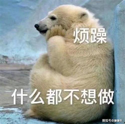 别人发个吃瓜表情我该怎么回,揭秘表情背后的故事