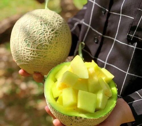 最近娱乐圈有什么瓜吃么